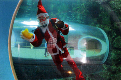 トンネル水槽でサンタが遊泳