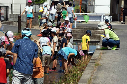 「いい川ワークショップ」で