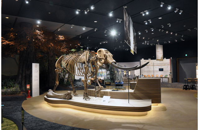 琵琶湖博物館　リニューアルしてグランドオープン