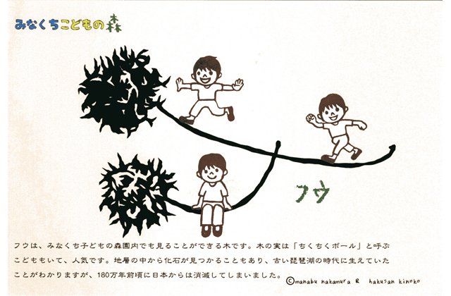 樹木やアケボノゾウのポストカード