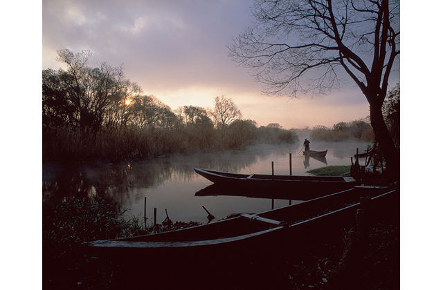 佐川美術館　里山のドラマを感じる「今森光彦展」