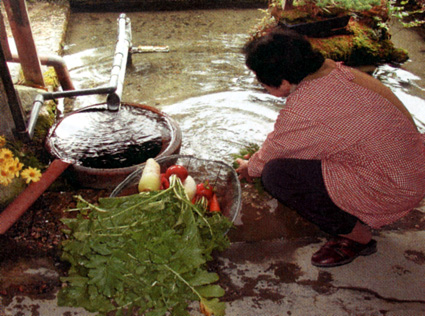 県内3例目の重要文化財景観に 高島市針江・霜降の水辺景観