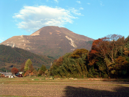 ボランティア募り刈り取りへ