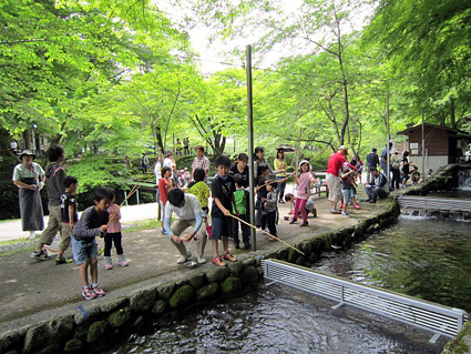 18日、醒井養鱒場で