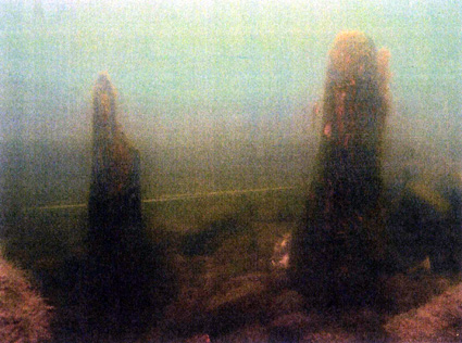 県立大学生の有志グループ発見　長浜城沖湖底で江戸後期の建物遺跡