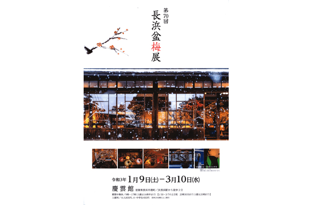 第70回長浜盆梅展