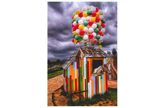 第64回滋賀県写真展覧会