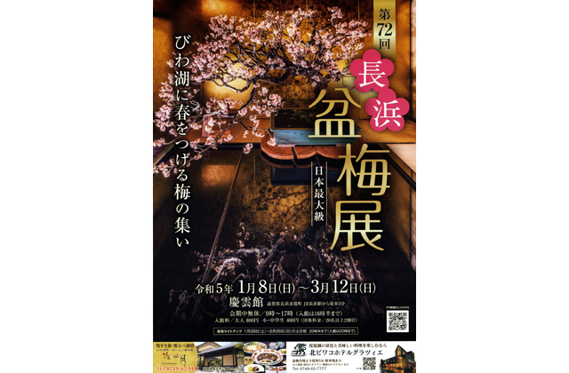 8日から長浜盆梅展