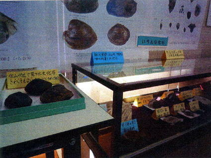 佐山小の博物館に