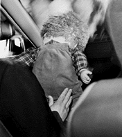 農産物の自給率アップへ ほか (2000年4月14日号)