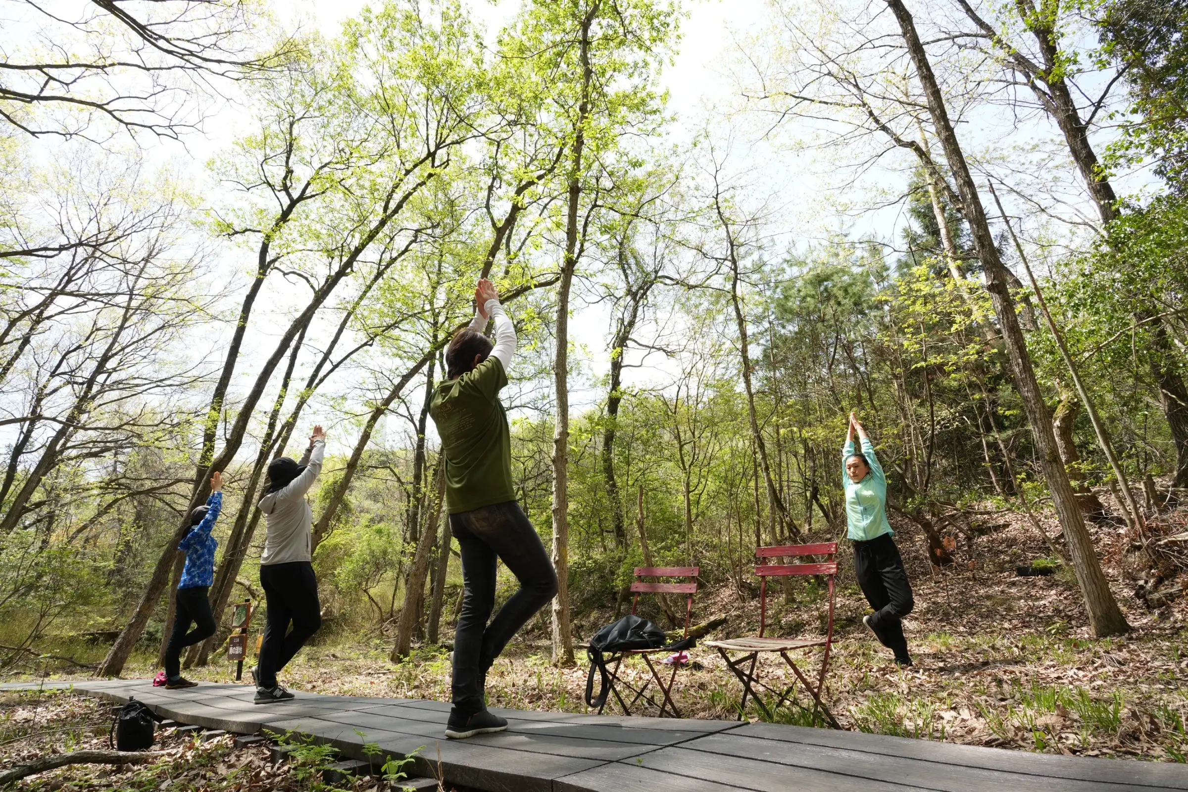新緑に癒やされ精神統一
