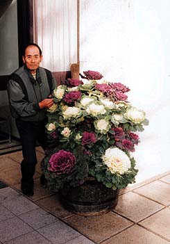 紫や白のきれいな葉ボタン ほか (2000年12月25日号)