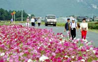 芸術文化に市民総参加 ほか (2000年10月25日号)
