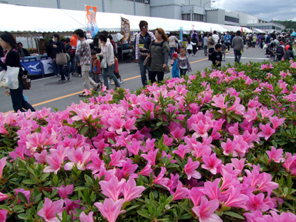 元気なダイハツを見て！「竜王フェスティバル」