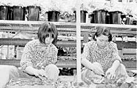 施設長・本多氏のワンマン経営 ほか (2000年6月9日号)