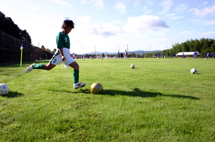 全面芝生化が完成