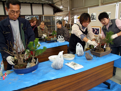 アグリパーク竜王 迎春準備の３教室