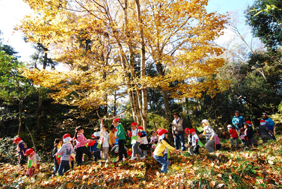 びわ湖の森をもっと元気に