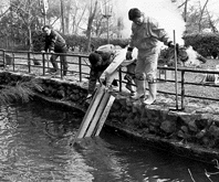 「開市記念祭」の開催に向け ほか (2000年3月12日号)