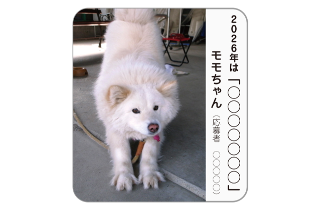 《掲載希望者募集》　わが家自慢のペット特集2026