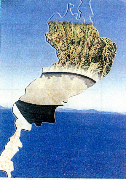 水田見直す“こめフォーラム”