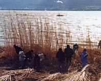 13年度の障害者雇用状況 ほか (2002年1月10日号)