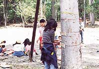 名札を付けて１年間観察 ほか (2000年5月13日号)