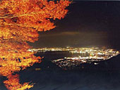 15日～来月7日まで紅葉ライトアップ