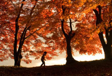 日野観光写真　入賞作品22点