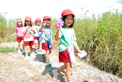 町民有志の手作りイベント 27日「コスモスまつり」