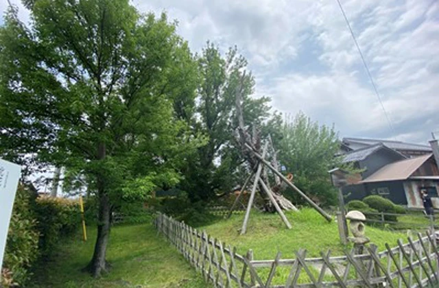 北花沢・南花沢のハナノキ生育地