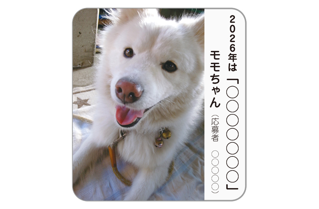 ＜掲載希望者募集＞わが家自慢のペット特集2026