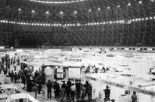 来年の巳年は「細く、長く、しぶとく！」 ほか (2000年12月28日号)