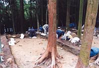 八幡山城遺跡「秀次公館」確認調査 ほか (2002年2月12日号)