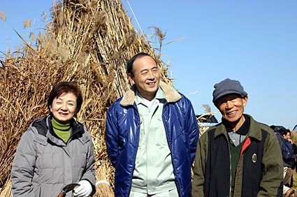 西の湖で葦刈り体験　伊藤園社員や消費者