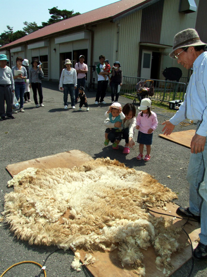 夏に向けてチェンジ