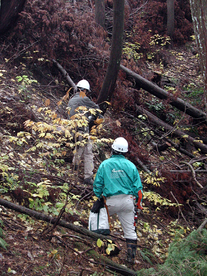 クマが支える豊かな森　日本熊森協会滋賀支部