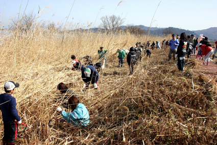 エコ行動に「よしマネー」西の湖から「エコ」発信