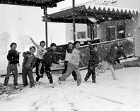 八日市署管内 昨年の発生状況 女性ドライバー事故も高率 ほか (2000年1月22日号)