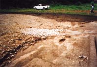 春休みを利用して開く ほか (2000年2月24日号)