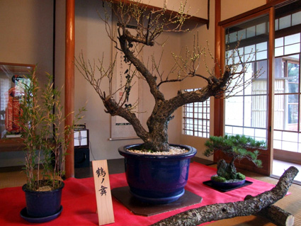 ふんわり新春の香り