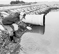 水性植物・ヒメビシ保護へ ほか (2000年4月16日号)