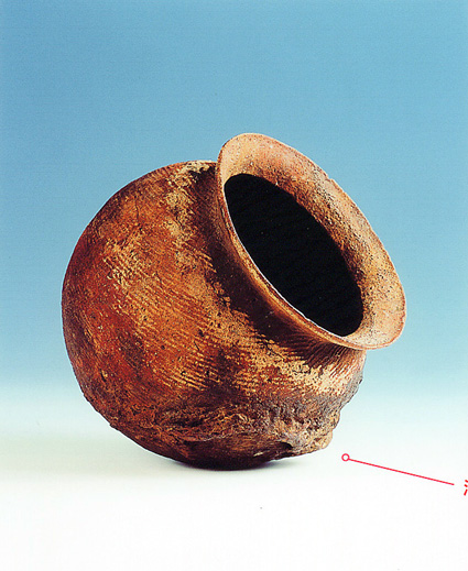 Ｒ大津京駅で“湖底遺跡”展示