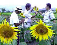 八日市市民大学公開講座 ほか (2000年8月14日号)