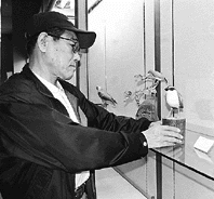 バードカービングの魅力 ほか (2000年4月13日号)