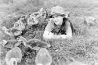 ８月４日 アピア・セントラルコート ほか (2000年7月17日号)