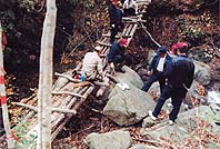 「合併必要」６割超す ほか (2000年11月22日号)