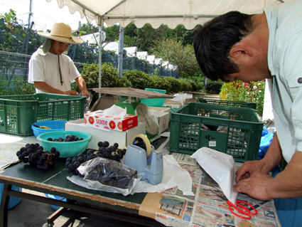 福祉の受け手から農業の担い手へ