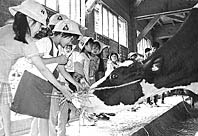 農業ふれあいスクール ほか (2000年6月17日号)