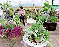 大凧、芸術、花 １日で３倍楽しく ほか (2000年5月31日号)